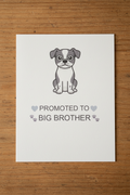 Big Brother - Wood Background