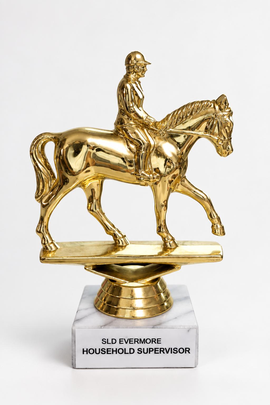 Horse trophy front, cleaned