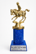 I Didn't Hear You Award trophy