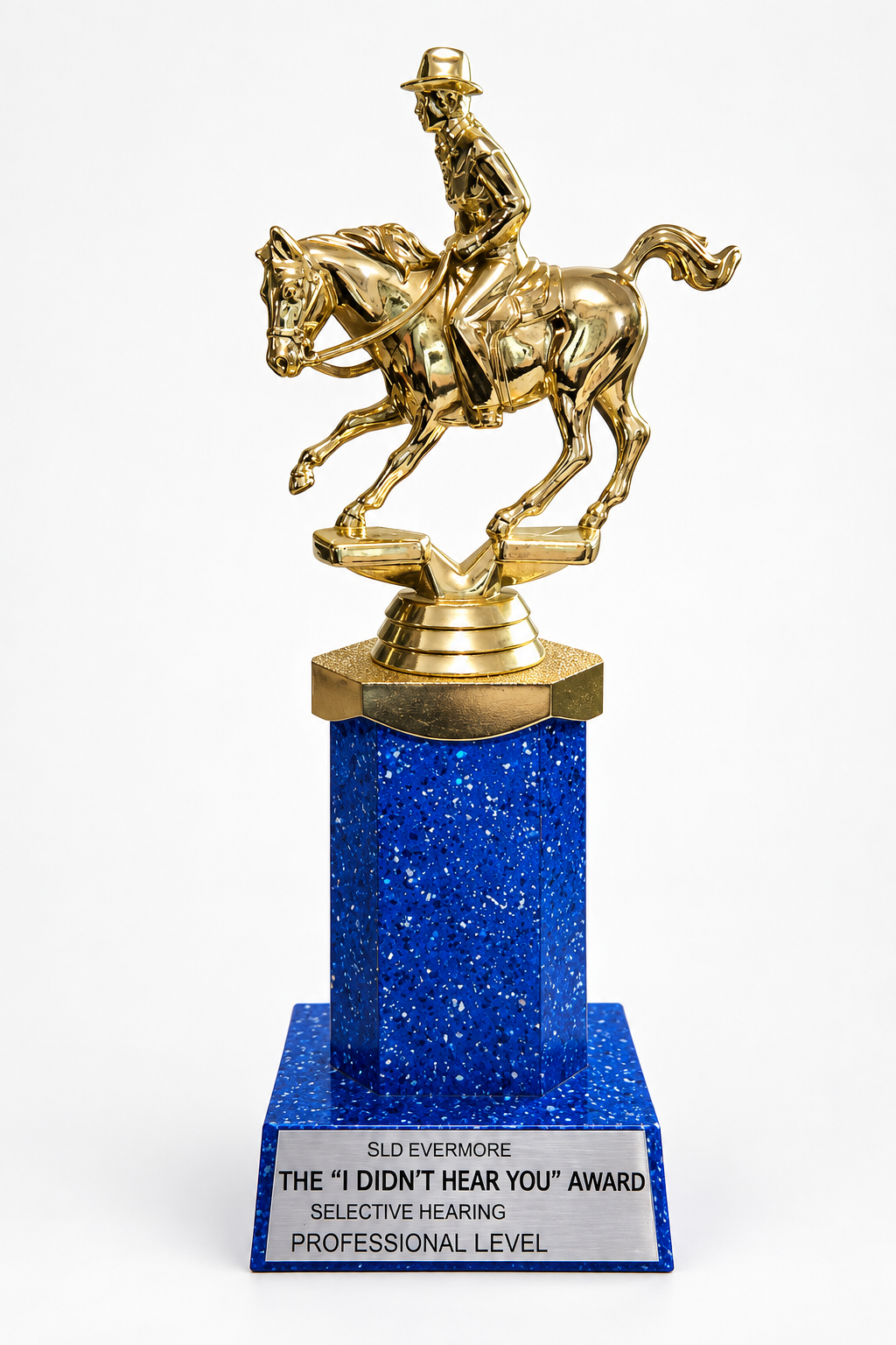 I Didn't Hear You Award trophy
