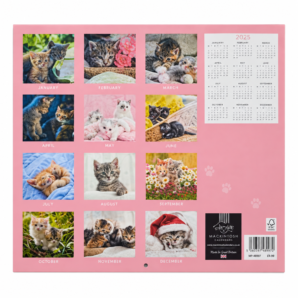 Kittens 2027 calendar back