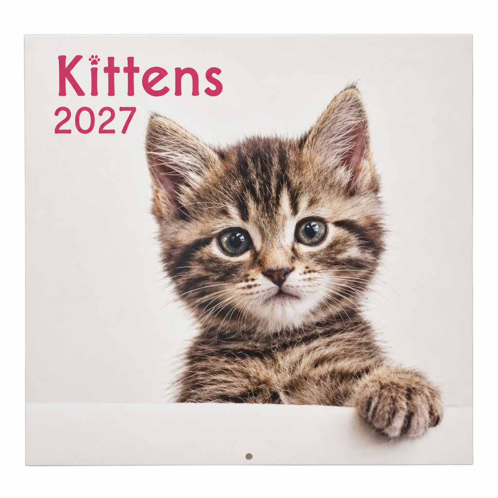 Kittens 2027 calendar front